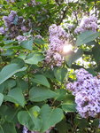 20220507_075903.jpg