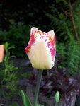 20220507_075955.jpg