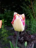 20220507_075955.jpg