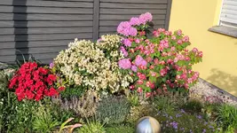 20220510_075751.webp