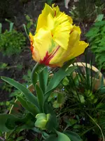 20220510_155422.webp