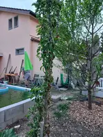 20220510_203345.webp