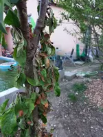 20220510_203353.webp