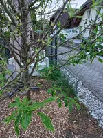 20220510_203443.webp