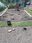 IMG_20220510_132230.jpg