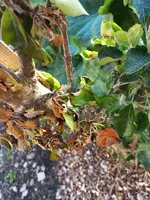 20220511_072701.webp