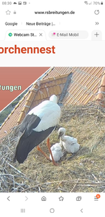 Screenshot_20220511-083057_Samsung Internet.webp