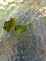 20220511_093406.webp