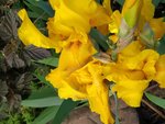 IMG_20220511_093032_2.jpg