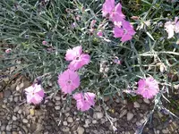 IMG_20220511_093016.webp