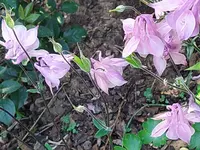 IMG_20220511_092905.webp