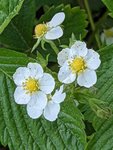 PXL_20220511_160921290.JPG