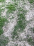 IMG_0264.jpg