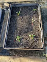 IMG_0742(1).webp