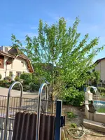 20220512_080037.webp