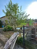 20220512_080116.webp