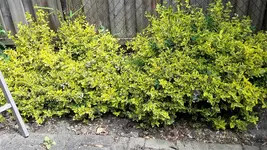 20220512_134455.webp 20220512_134455.webp