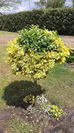 20220512_131939.webp 20220512_131939.webp