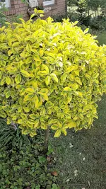 20220512_132011.webp 20220512_132011.webp