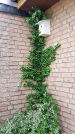 20220512_131924.webp 20220512_131924.webp