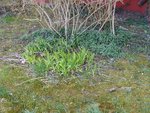 IMG_20220324_132756.jpg