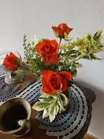 E1931548-BC79-4855-B576-C0833E0D8844.webp