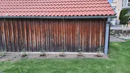 2022-05 Tomatenseile-03.webp