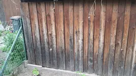 2022-05 Netzt als Rankhilfe Gurken01.webp