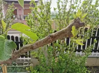 IMG_20220513_075648.webp