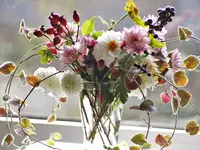 image001.webp