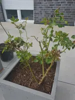 20220512_180916.webp