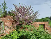20220513_090013.webp