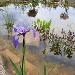 20220513_085633.webp