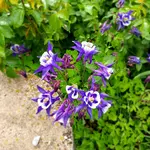 20220513_090316.webp