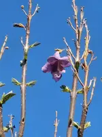 IMG-20220512-WA0004.webp
