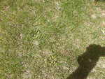 20220513_130714.jpg