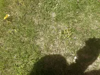 20220513_130717.webp
