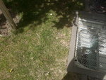20220513_130726.jpg