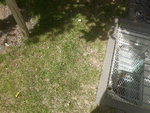 20220513_130728.jpg