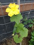 IMG_20220512_104346.jpg