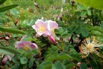 DSCN3804.JPG