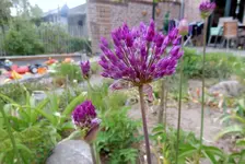 DSCN3805.webp