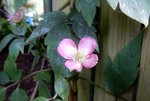 DSCN3807.JPG