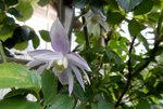 DSCN3808.JPG