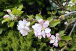 IMG_20220506_164321.jpg