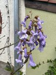 36B77AA2-F419-436A-8D25-E8CFBB051CCC.jpeg