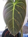 20220514_092506.jpg
