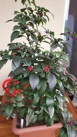20220514_094923.webp