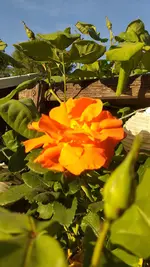 20220514_191509.webp