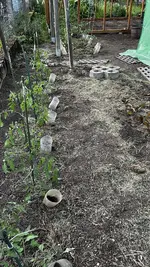 11B23667-463E-4D60-9CCA-B483E2776C33.jpeg